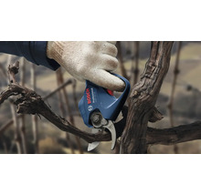 Een hand met een handschoen gebruikt een Bosch accu-tuinschaar om een tak te snoeien.