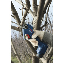 Bediening van een accutuinbouwschere bij het snoeien van een tak