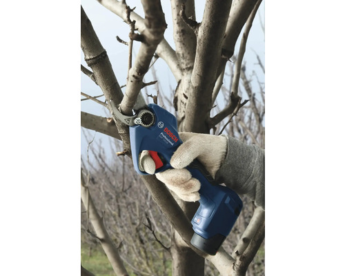 Bediening van een accutuinbouwschere bij het snoeien van een tak