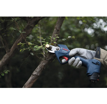 Accu-tuinschaar die een tak in de tuin snoeit