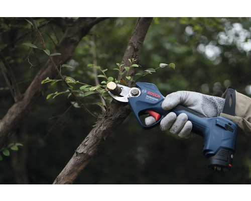 Accu-tuinschaar die een tak in de tuin snoeit