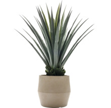 Kunstmatige agave in een pot
