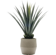 Kunstmatige agave in een pot