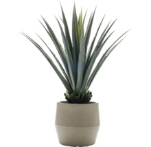 Kunstmatige agave in pot voor interieurdecoratie
