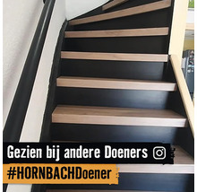Trap met houten treden en leuning