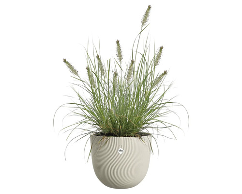 Gras in een Elho plantenbak