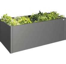 Grijze plantenbak met diverse planten