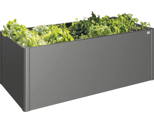 Grijze plantenbak met diverse planten
