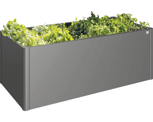 Metalen plantenbak met sla en kruiden