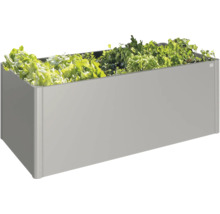 Rechthoekige metalen plantenbak beplant met sla