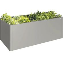 Metalen verhoogde tuinbak met sla geplant