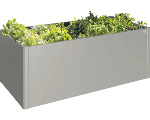 Metalen verhoogde tuinbak met sla geplant