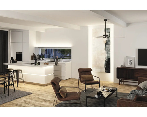 Woonkamer met open keuken, plafondventilator en leren fauteuils