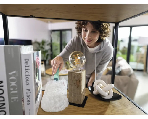 Vrouw stofzuigt gloeilamp op een plank