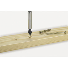 Houten plank met verzinkboor en schroeven.