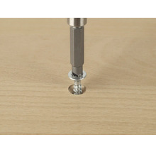 Schroef met sluitring die met een schroevendraaier in hout wordt geschroefd