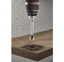 Forstnerboor boort gat in hout