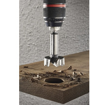 Forstnerboor die een gat boort in een houten plank