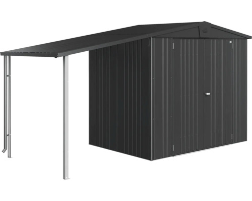 Metalen tuinhuis met luifel voor tuingereedschap en gereedschap