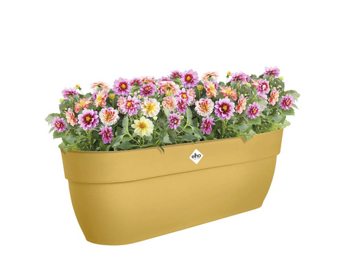 Bloembak met bloeiende bloemen