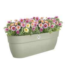 Kunststof bloembak beplant met dahlia''s