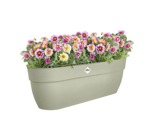 Kunststof bloembak beplant met dahlia''s