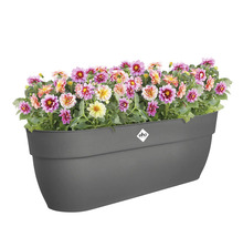 Grijze bloembak met kleurrijke bloemen en Elho logo