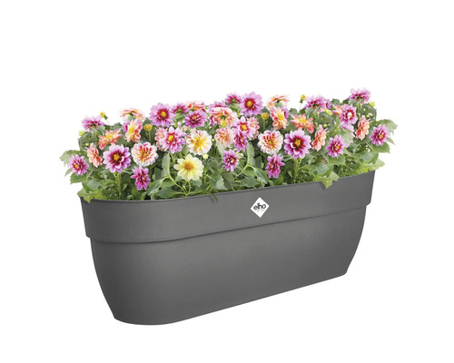 Grijze bloembak met kleurrijke bloemen en Elho logo