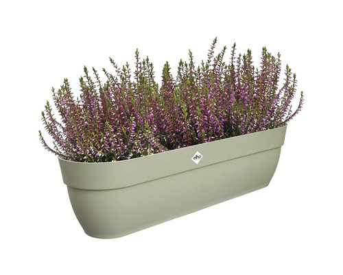 Rechthoekige plantenbak beplant met heide