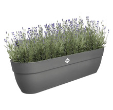 Grijze plantenbak met lavendel en Elho logo.
