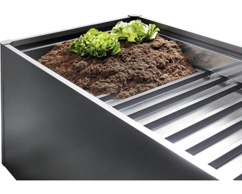 Verhoogde tuinbak met aarde en sla planten