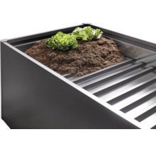 Verhoogde tuinbak met aarde en slaplanten.