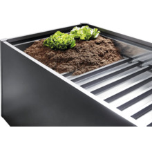 Hoge plantenbak met aarde en slaplanten