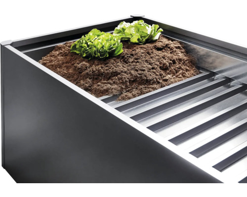 Hoge plantenbak met aarde en slaplanten