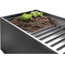 Verhoogde tuinbak met aarde en slaplanten