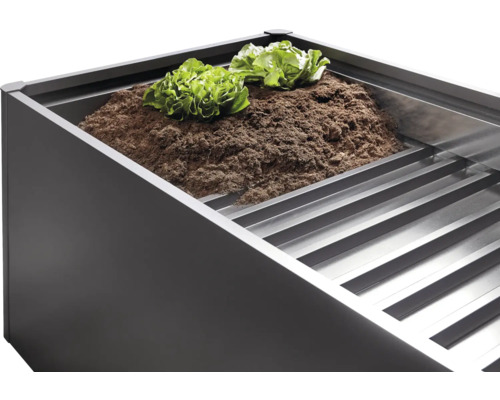 Verhoogde tuinbak met aarde en slaplanten