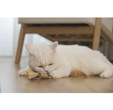 Een witte kat ligt met een kattenspeeltje op de vloer.