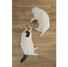 Twee katten spelen met speelgoed op een houten vloer