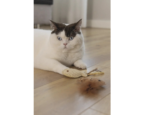 Een kat ligt met speelgoedmuis en speelgoedvis op een houten vloer.