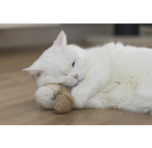 Witte kat ligt met speelgoed op de grond