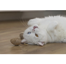 Witte kat ligt op zijn rug met kattenspeelgoed