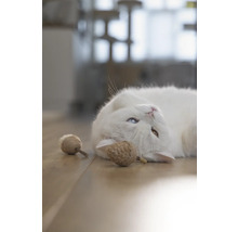 Een witte kat met ongelijke ogen en kattenspeelgoed op een houten vloer