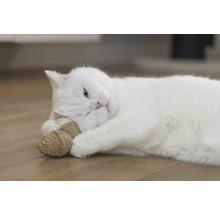Een witte kat ligt op de vloer en speelt met kattenspeelgoed.