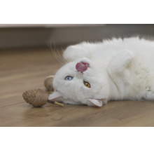 Een witte kat ligt op zijn rug en steekt zijn tong uit, met een speeltje ernaast.