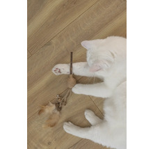 Witte kat speelt met een kattenhengel op een houten vloer.