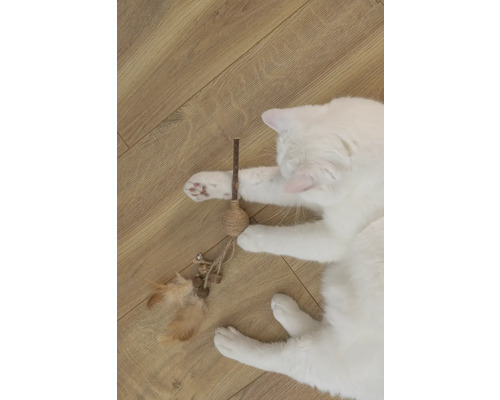 Witte kat speelt met een kattenhengel op een houten vloer.