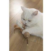 Witte kat speelt met kattenspeelgoed op houten vloer