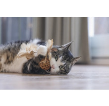 Speelse kat ligt op de vloer en speelt met een bal van natuurlijke materialen en veren.