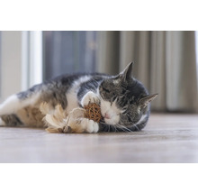 Kat ligt op de grond en speelt met speelgoed.