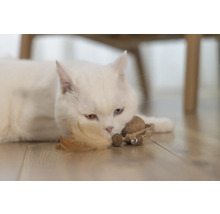 Witte kat ligt met speeltje op de vloer.